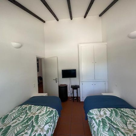 Casa Das Oliveiras เอวิส ภายนอก รูปภาพ