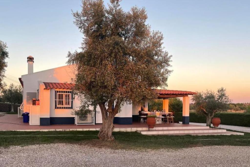 Casa Das Oliveiras เอวิส ภายนอก รูปภาพ