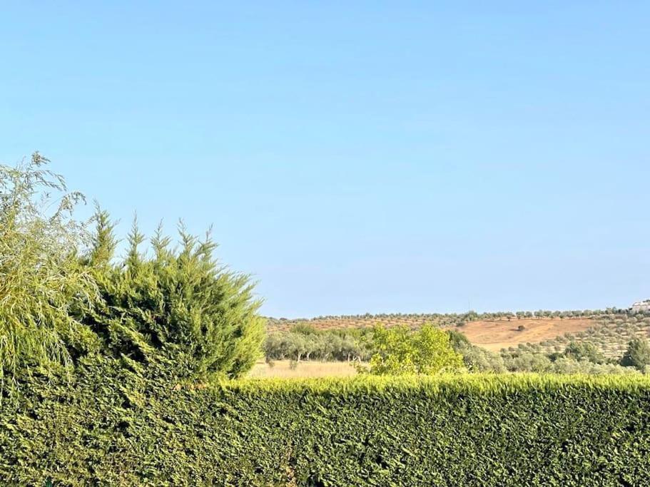 Casa Das Oliveiras เอวิส ภายนอก รูปภาพ