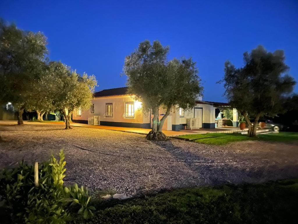 Casa Das Oliveiras เอวิส ภายนอก รูปภาพ