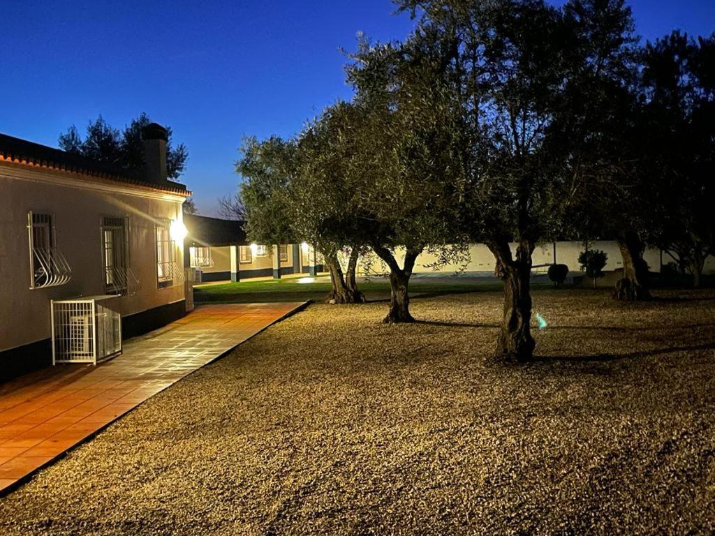 Casa Das Oliveiras เอวิส ภายนอก รูปภาพ