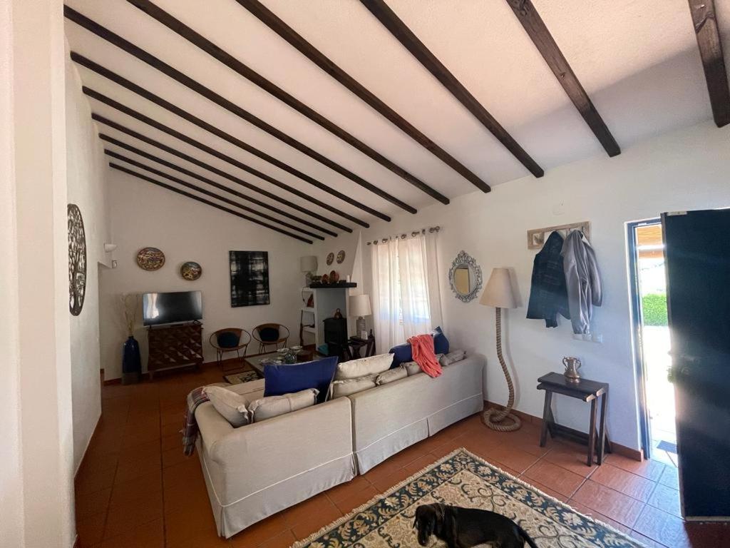 Casa Das Oliveiras เอวิส ภายนอก รูปภาพ